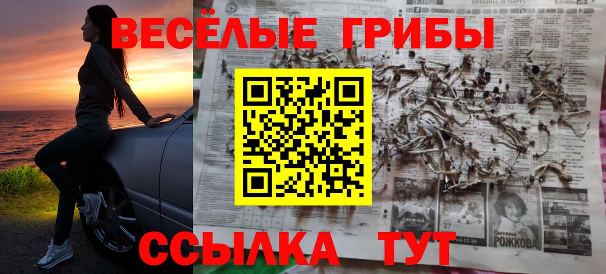 Галлюциногенные грибы ЛСД  Вход с VPN  Зима 