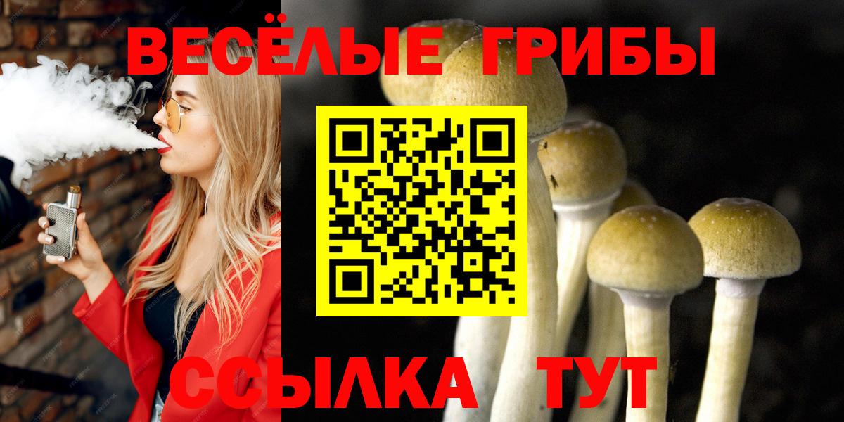 Псилоцибиновые грибы Cubensis Зима